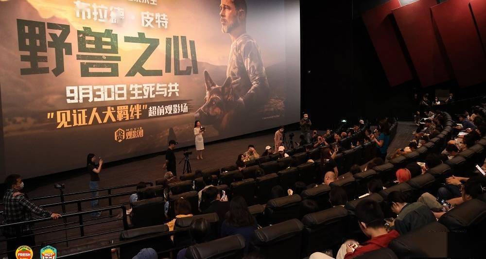 布拉德·皮特新片《野兽之心》举行超前观影活动 人犬羁绊感动观众